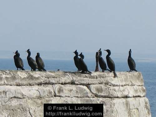 Inishmurray